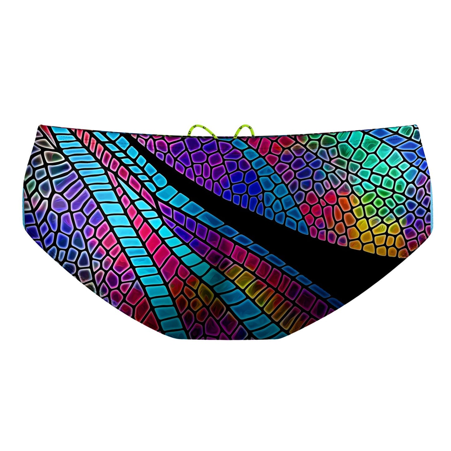 Dragonfly Wings Classic Brief Swimsuit