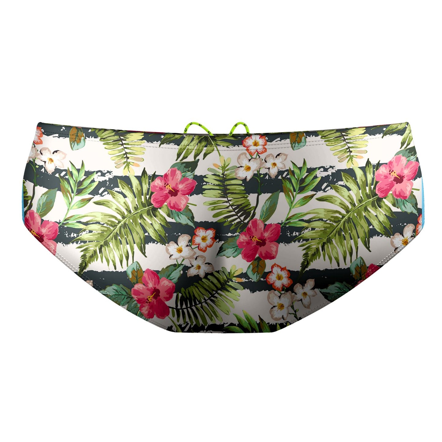Kahekili Bay Classic Brief Swimsuit