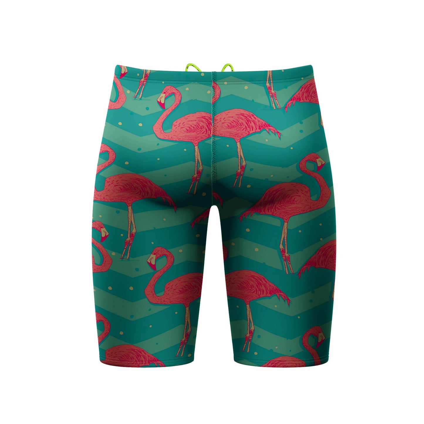 Flock of Flamingos Jammer Swimsuit