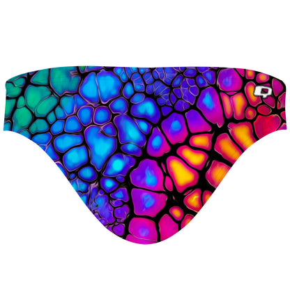 Chameleon Skin - Bandeau Bikini Bottom