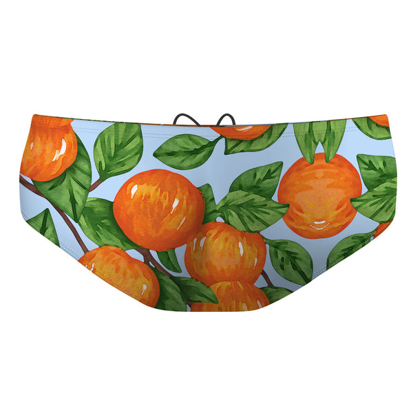 Swimming With Oranges - Classic Brief Swimsuit