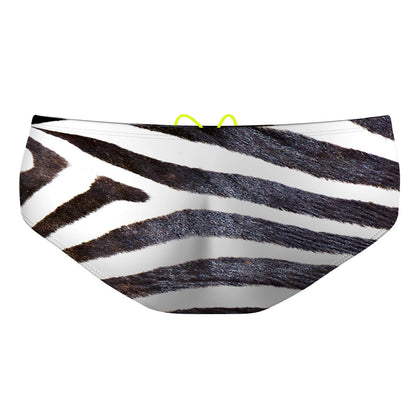 Zebra - Classic Brief Swimsuit