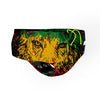 Iron Zion Classic Brief Swimsuit
