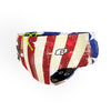 Independence Classic Brief Swimsuit