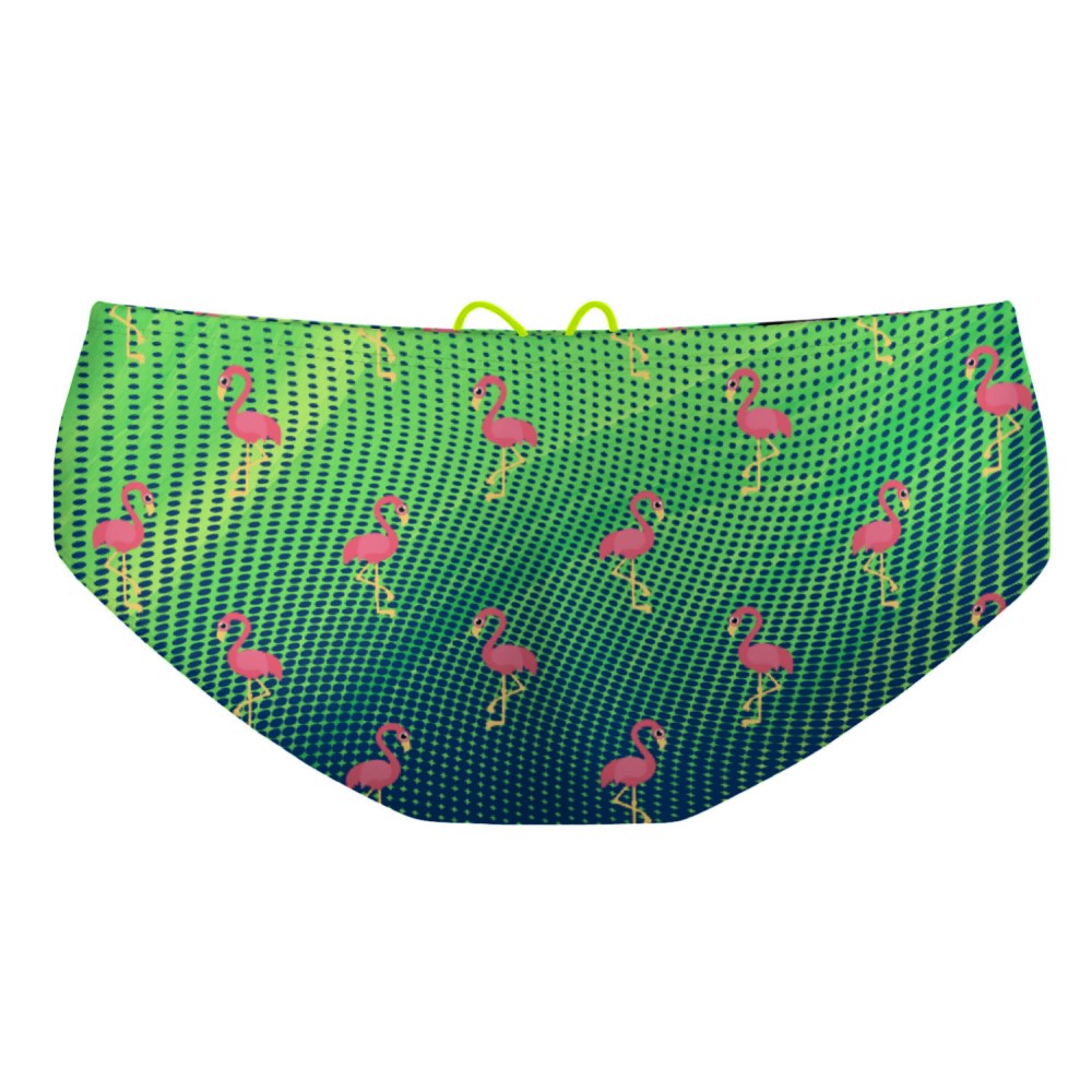 Party Flamingos Classic Brief Swimsuit