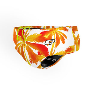 Palms Classic Brief Swimsuit