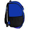Whale Tail Borealis - Back Pack