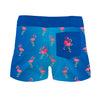 Party Flamingos - Women Board Shorts