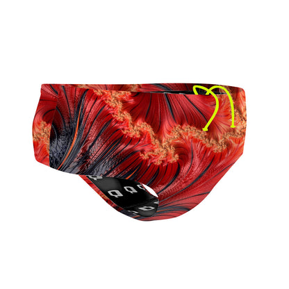 Fiery Fractals - Classic Brief