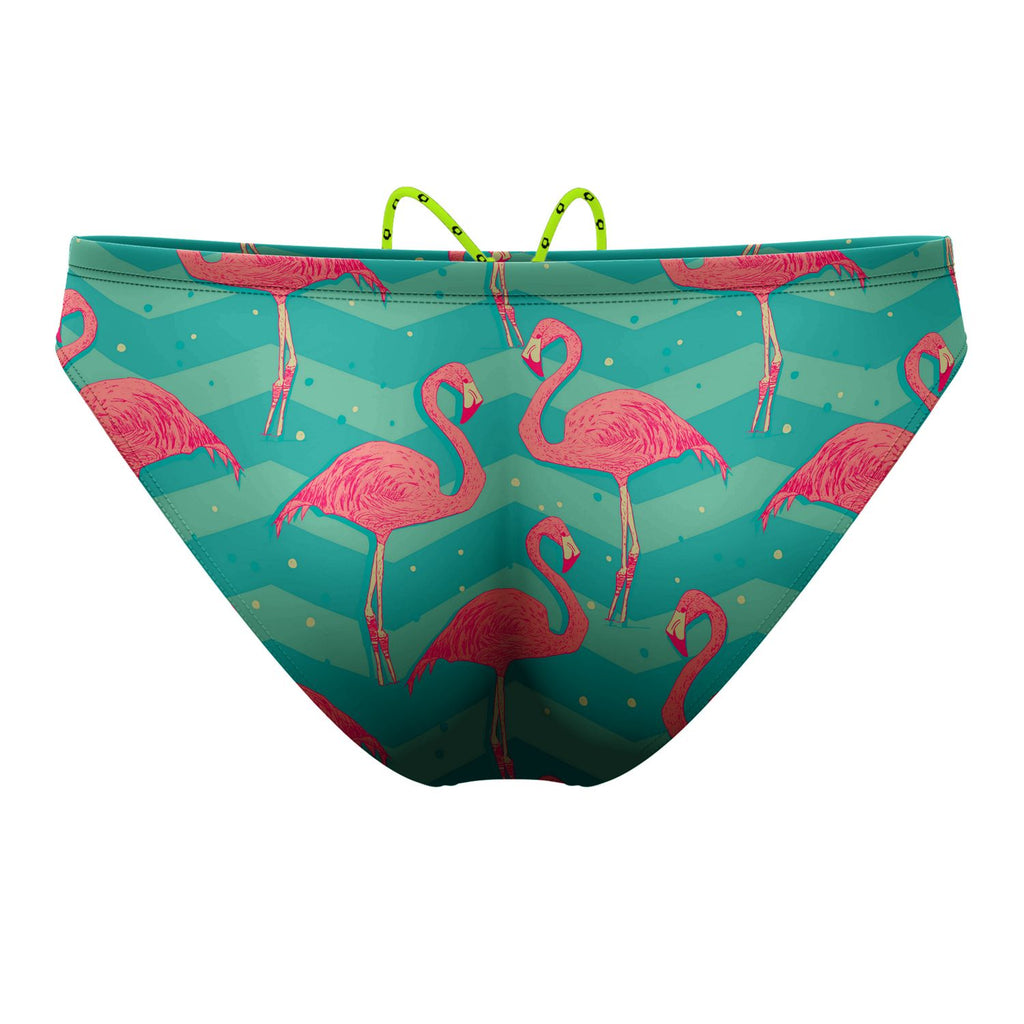 Flock of Flamingos Waterpolo Brief Swimwear