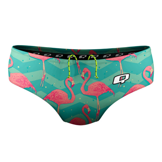 Flock of Flamingos Classic Brief Swimsuit