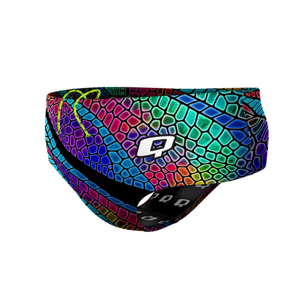 Dragonfly Wings Classic Brief Swimsuit