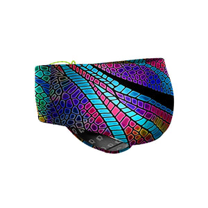 Dragonfly Wings Classic Brief Swimsuit