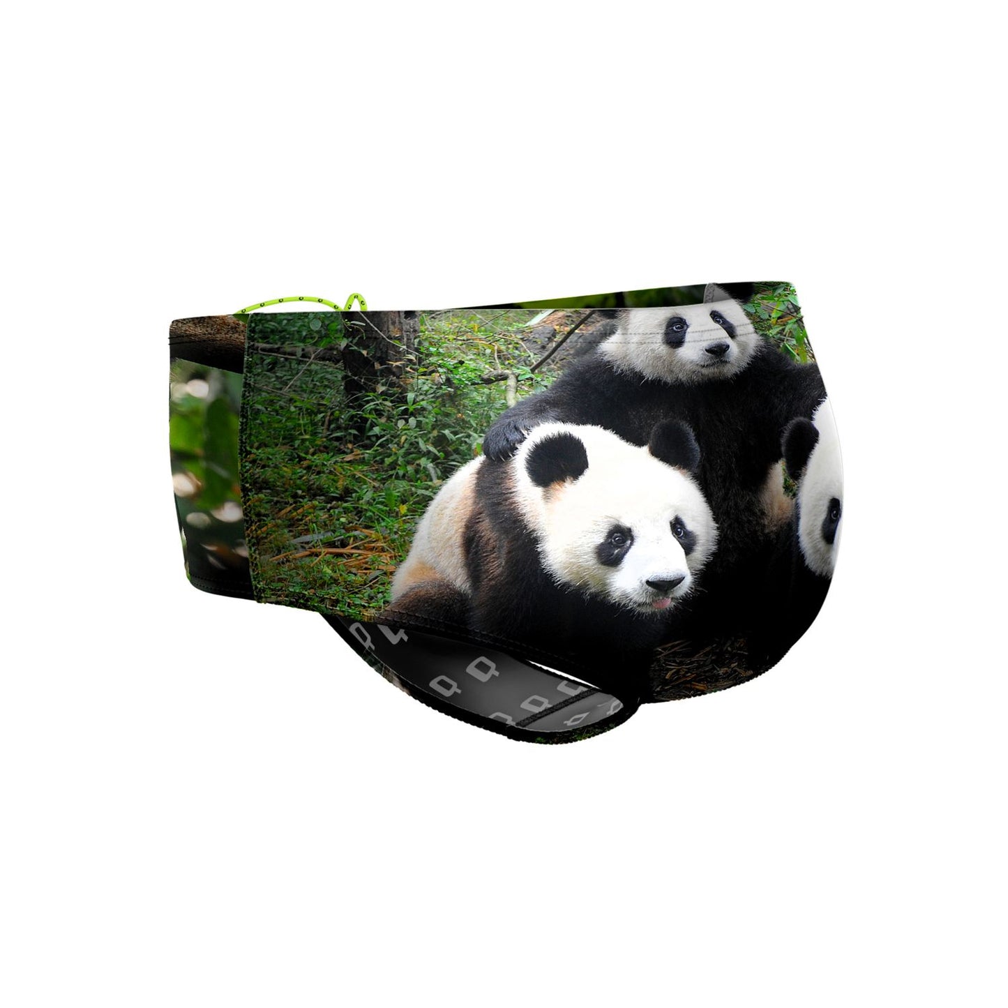 Panda Bear Classic Brief Swimsuit