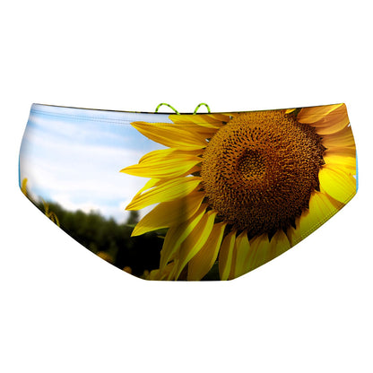 Sunflower Classic Brief Swimsuit