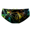 Dimension Classic Brief Swimsuit