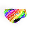 Pride Day - Classic Brief Swimsuit