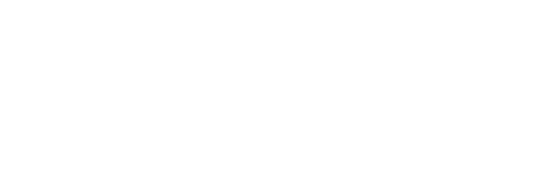 Q Swimwear